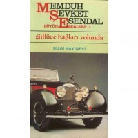 Güllüce Bağları Yolunda