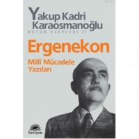 Ergenekon; Milli Mücadele Yazıları