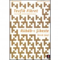 Rübâb-ı Şikeste; Kırık Saz