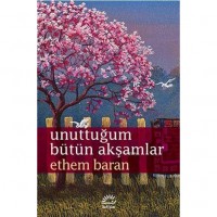 Unuttuğum Bütün Akşamlar