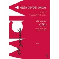 Melih Cevdet Anday; Şiir Yaşantısı