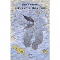 Kırlangıç Dönümü