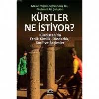 Kürtler Ne İstiyor?; Kürdistan`da Etnik Kimlik, Dindarlık, Sınıf ve Seçimler