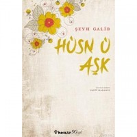 Hüsn ü Aşk