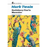 Huckleberry Finn`in Maceraları