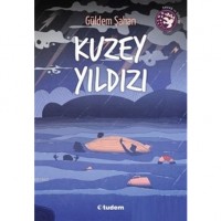 Kuzey Yıldızı