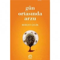 Gün Ortasında Arzu