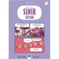 Temel Kavramlarla Sinir Sistemi