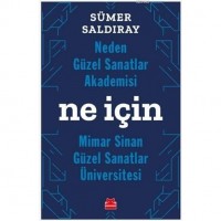 Neden Güzel Sanatlar Akademisi Ne İçin Mimar Sinan Güzel Sanatlar Üniversitesi