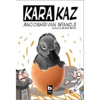 Kara Kaz