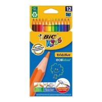 BIC Kids Evolution  Kuru Boya Kalemi 12`li Kutu