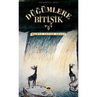 Düğümlere Bitişik