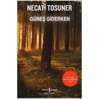 Güneş Giderken