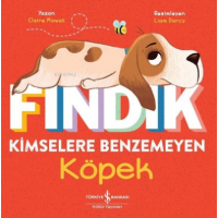 Fındık Kimselere Benzemeyen Köpek