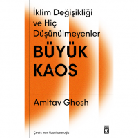 Büyük Kaos: İklim Değişikliği ve Hiç Düşünülmeyenler