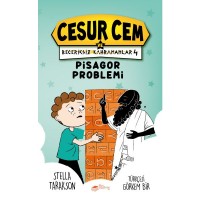 Cesur Cem ve Beceriksiz Kahramanlar 4 Pisagor Problemi