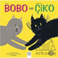 Ev Kedisi Bobo ve Sokak Kedisi Çiko - Arkadaşlık ve Dostluk Üzerine