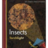 Insects: My First Discoveries
