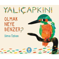 Yalıçapkını Olmak Neye Benzer?