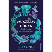 Muazzam Dünya: Beş Duyunun Ötesine Yolculuk