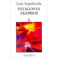 Patagonya Ekspresi