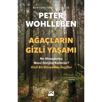 Ağaçların Gizli Yaşamı Ne Hissederler, Nasıl İletişim Kurarlar – Gizli Bir Dünyadan Keşifler