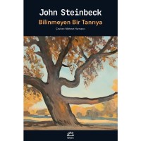 Bilinmeyen Bir Tanrıya