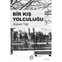 Bir Kış Yolculuğu