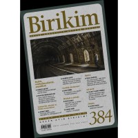 Birikim Sayı 384 Nisan 2021