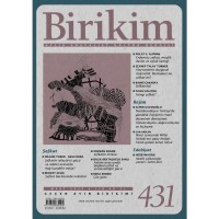 Birikim Sayı 431 Mart 2025