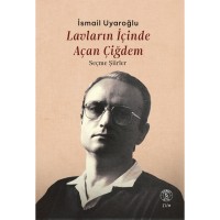 Lavların İçinde Açan Çiğdem