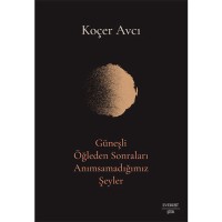 Güneşli Öğleden Sonraları Anımsamadığımız Şeyler