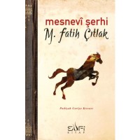 Mesnevî Şerhi
